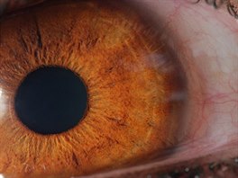 Jakub Štěpán nafotil v rámci projektu Human Eye více než tři stovky lidských...