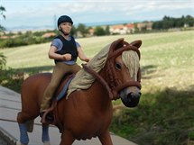 Jezdectví, aneb má láska ke koním