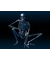 whichdoctor1