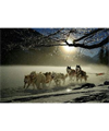 Bolt_zs