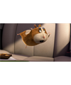 Sáňa75